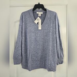 Workshop Republic Light Blue V-Neck Sweater